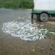 Инспекторы рыбоохраны Колымы и полицейские задержали браконьеров с поличным